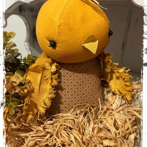 Primitive Baby Chick