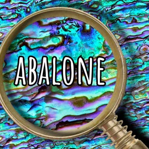May include: A close-up image of a magnifying glass over a colorful, iridescent surface. The word "ABALONE" is written in bold white letters within the magnifying glass. The background features shades of blue, green, and purple.