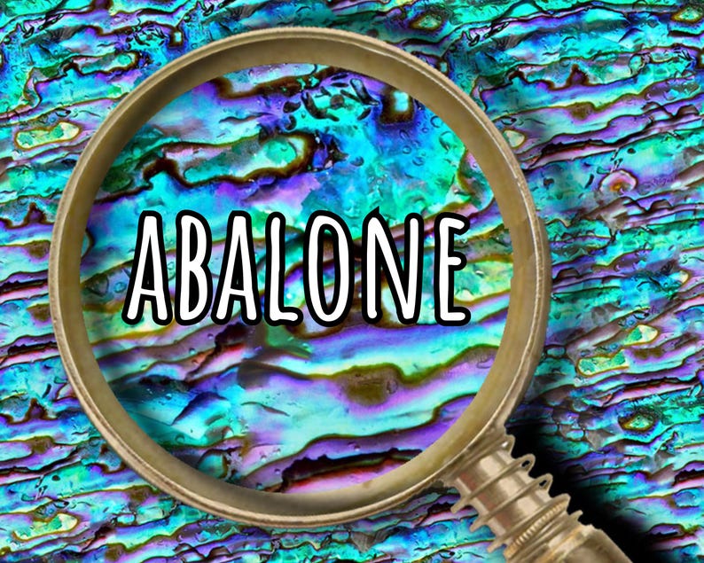 May include: A close-up image of a magnifying glass over a colorful, iridescent surface. The word "ABALONE" is written in bold white letters within the magnifying glass. The background features shades of blue, green, and purple.