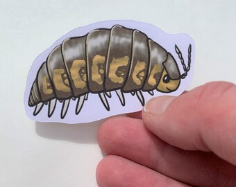 kawaii isopod