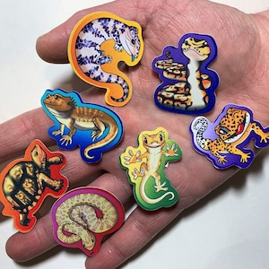 Rainbow of Reptiles - Set aus 7 süßen Reptilien Aufkleber
