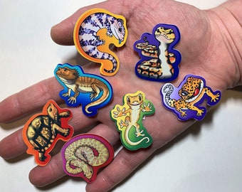 Arco-íris de Répteis - Conjunto de 7 Adesivos Fofos de Répteis