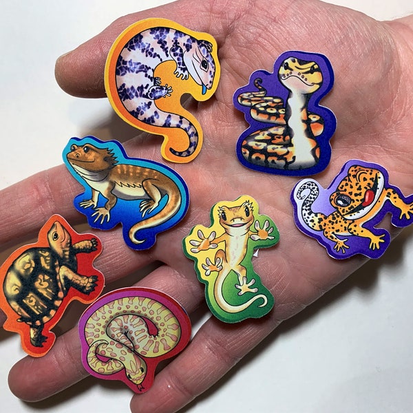 Rainbow of Reptiles - Set of 7 Cute Reptile Stickers