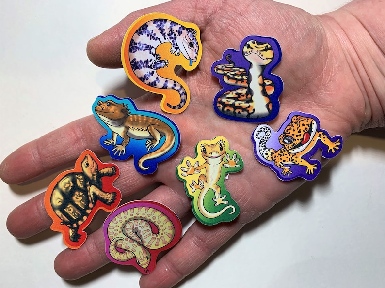 Rainbow of Reptiles Set of 7 Cute Reptile Stickers - Etsy