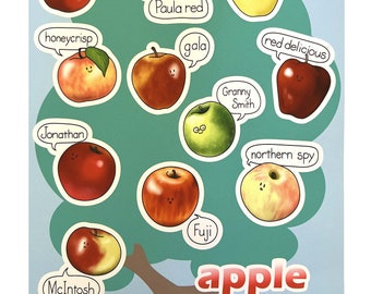 Feuille d’autocollants Apple Season - Ensemble de 11 autocollants Apple mignons