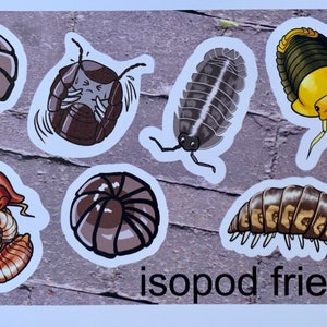 Isopod Friends - Set of 6 Isopod Roly Poly Pillbug Stickers