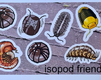 Isopod Friends - Set of 6 Isopod Roly Poly Pillbug Stickers