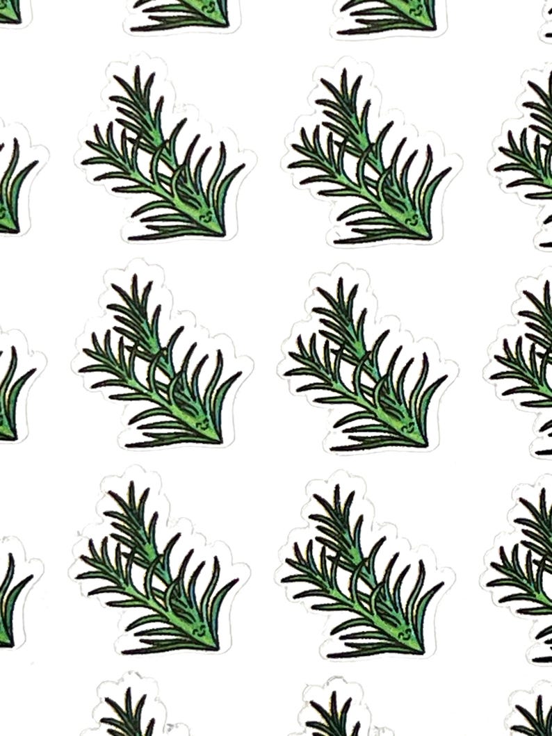 Rosemary Sticker Cute Rosemary Planner Stickers - Set of 30 Mini Paper Stickers - Etsy