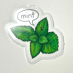 Cute Mint Vinyl Stickers