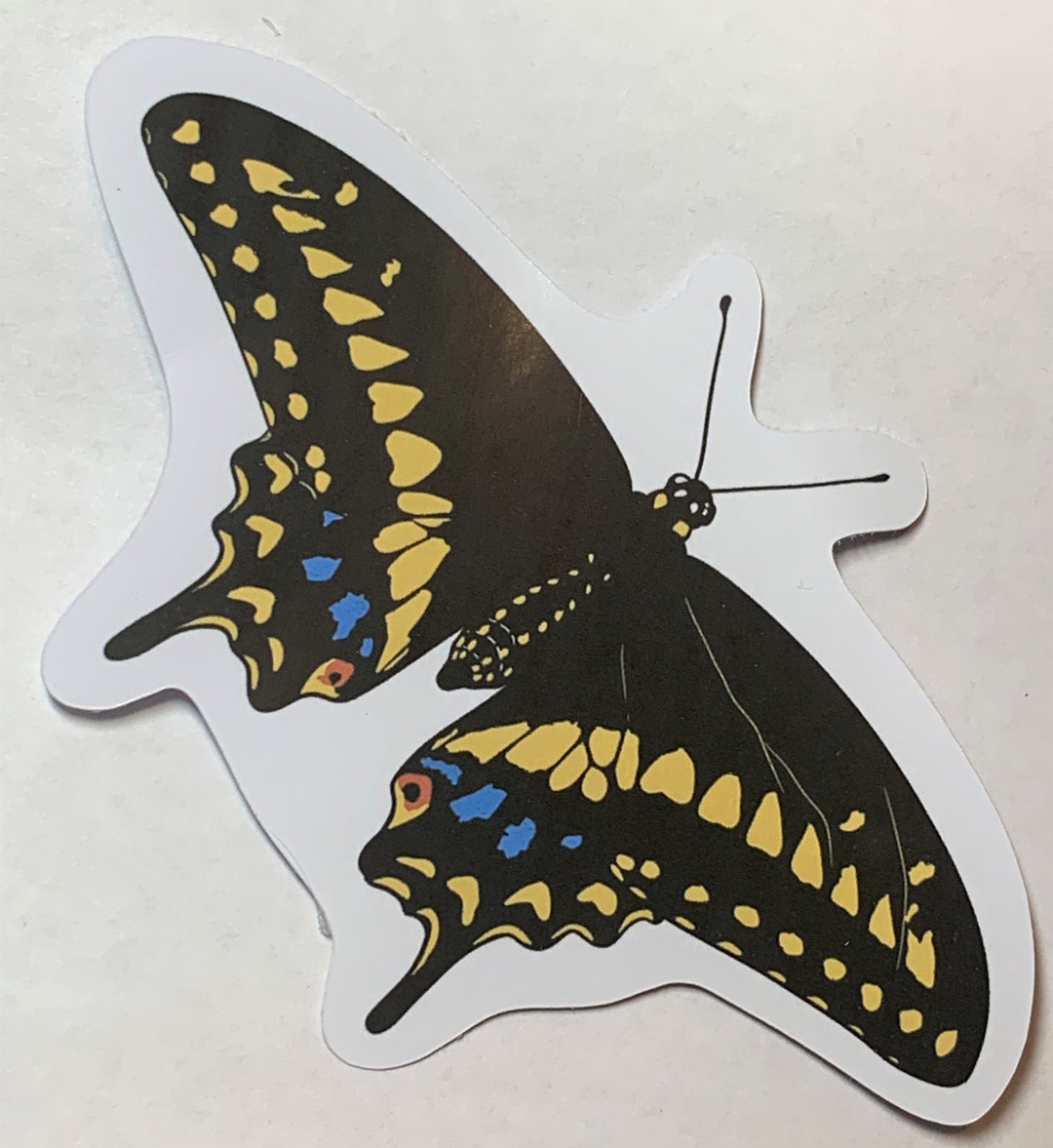 Eastern Black Swallowtail Butterfly Sticker - Etsy