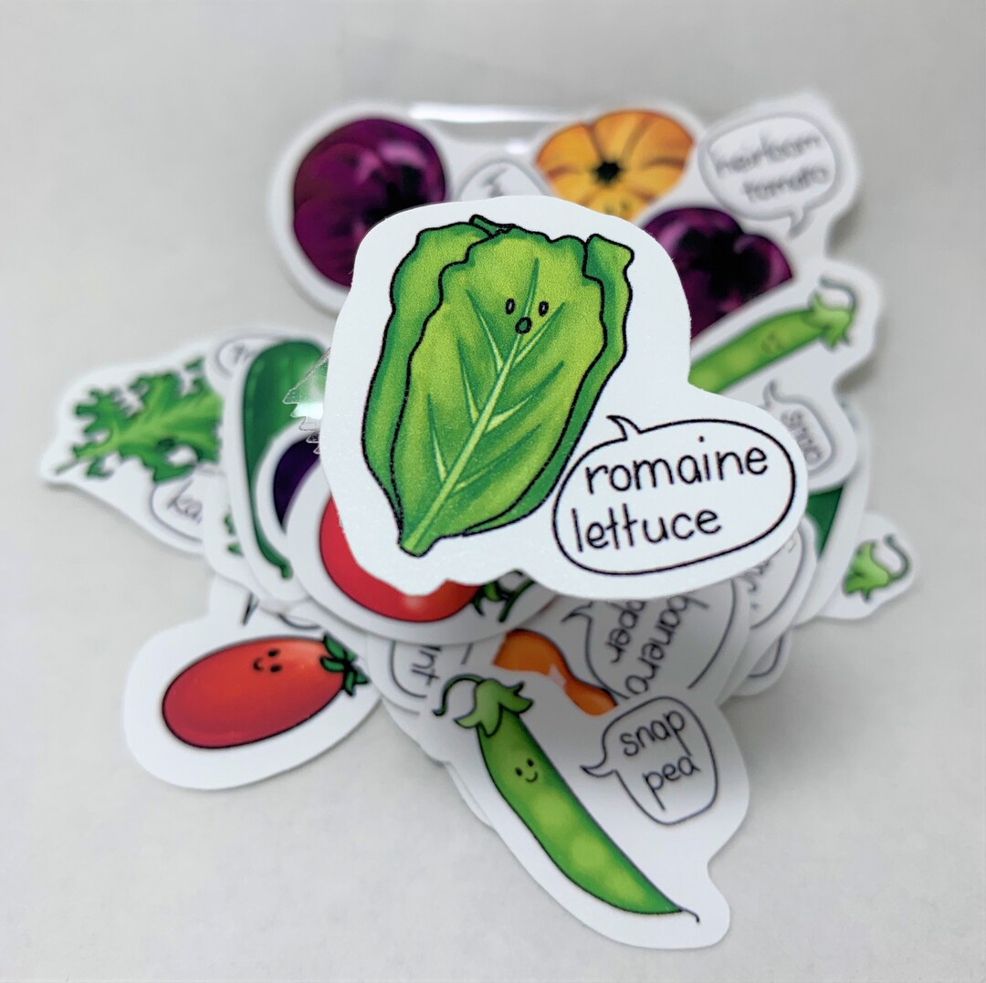 Cute Romaine Lettuce Vinyl Stickers Etsy