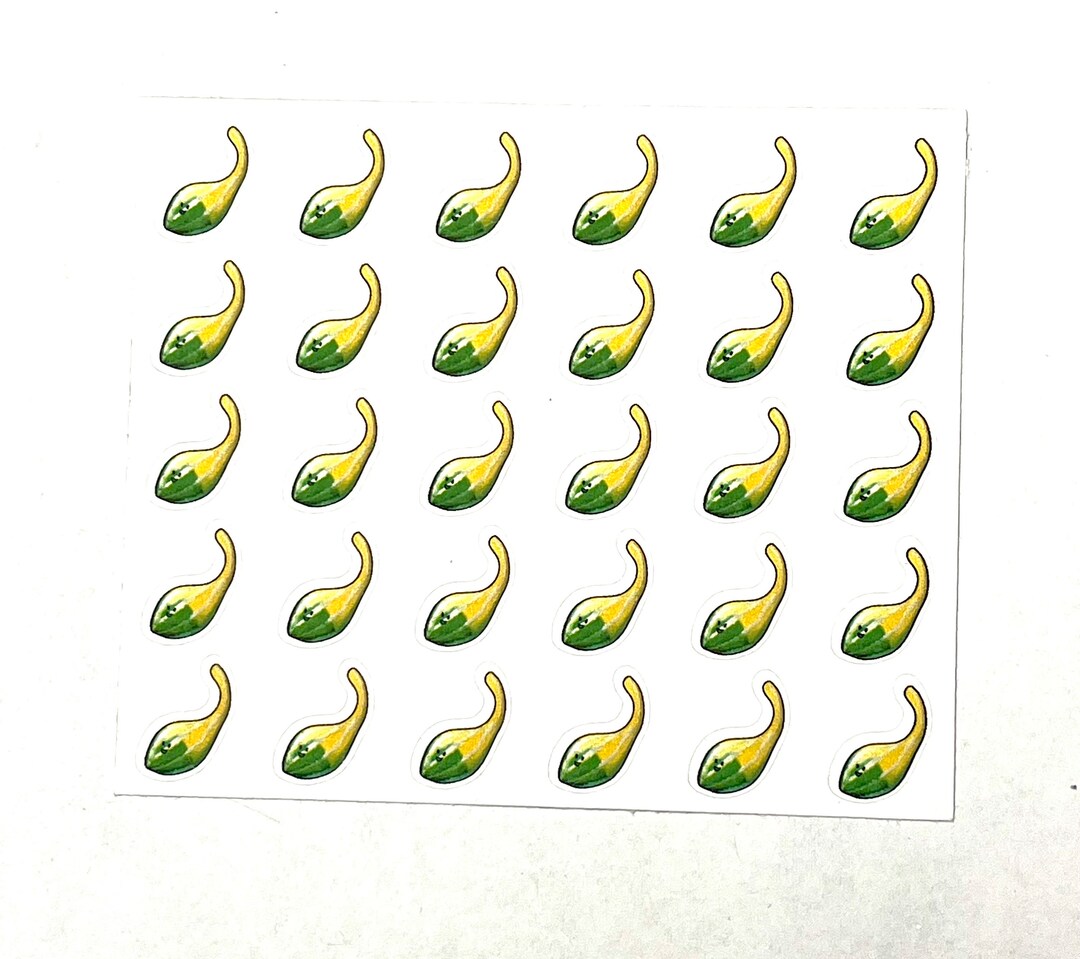 Cute Gourd Planner Stickers - Set of 30 Mini Paper Stickers - Etsy