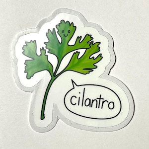 Cute Cilantro Vinyl Stickers