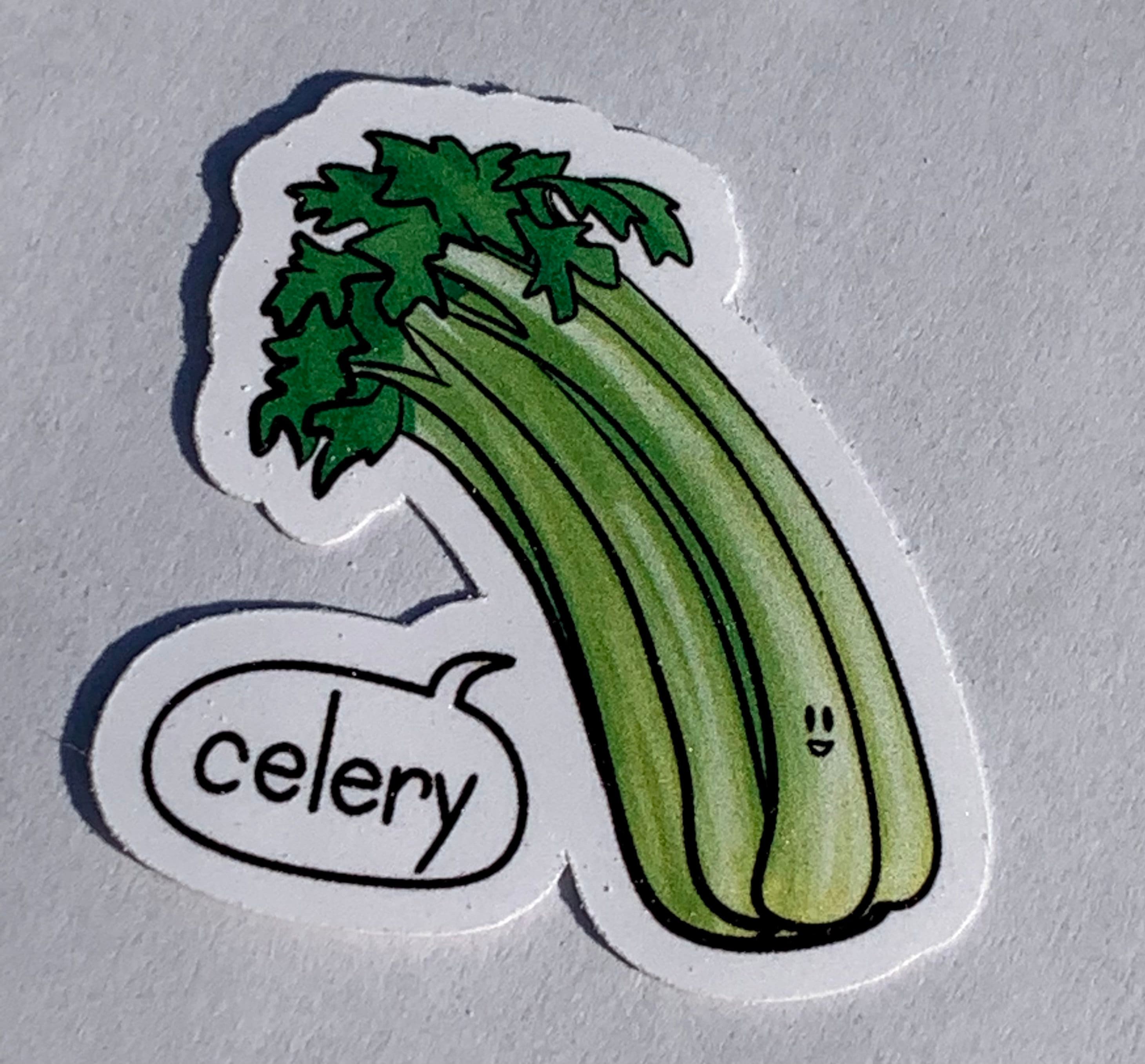 Large Postcard Album, Cover: Celery Cotton