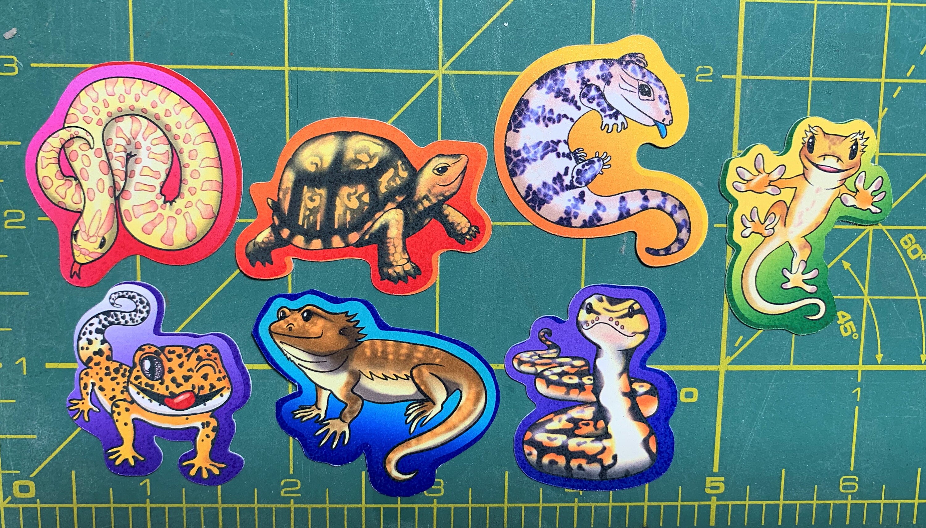 爬虫類の虹 - かわいい爬虫類ステッカー7枚セット - Etsy 日本