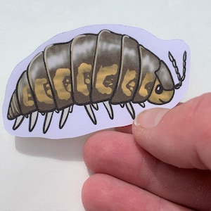 Cute Cartoon Isopod Venizillio Parvus Sticker