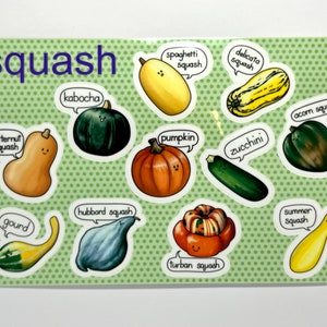 Set of 11 Cute Squash Stickers - Mini Happy Vegetable Stickers