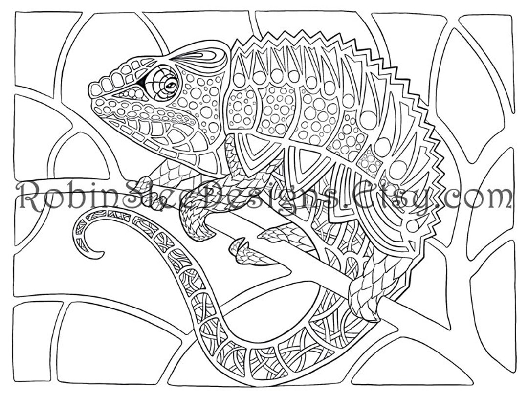 Chameleon Art Products - Colouring Book - Mandalas Gone Wild,20 Sheets,spiral  Bound Book Lays Flat For Coloring,for Alcohol Pens - Art Markers -  AliExpress