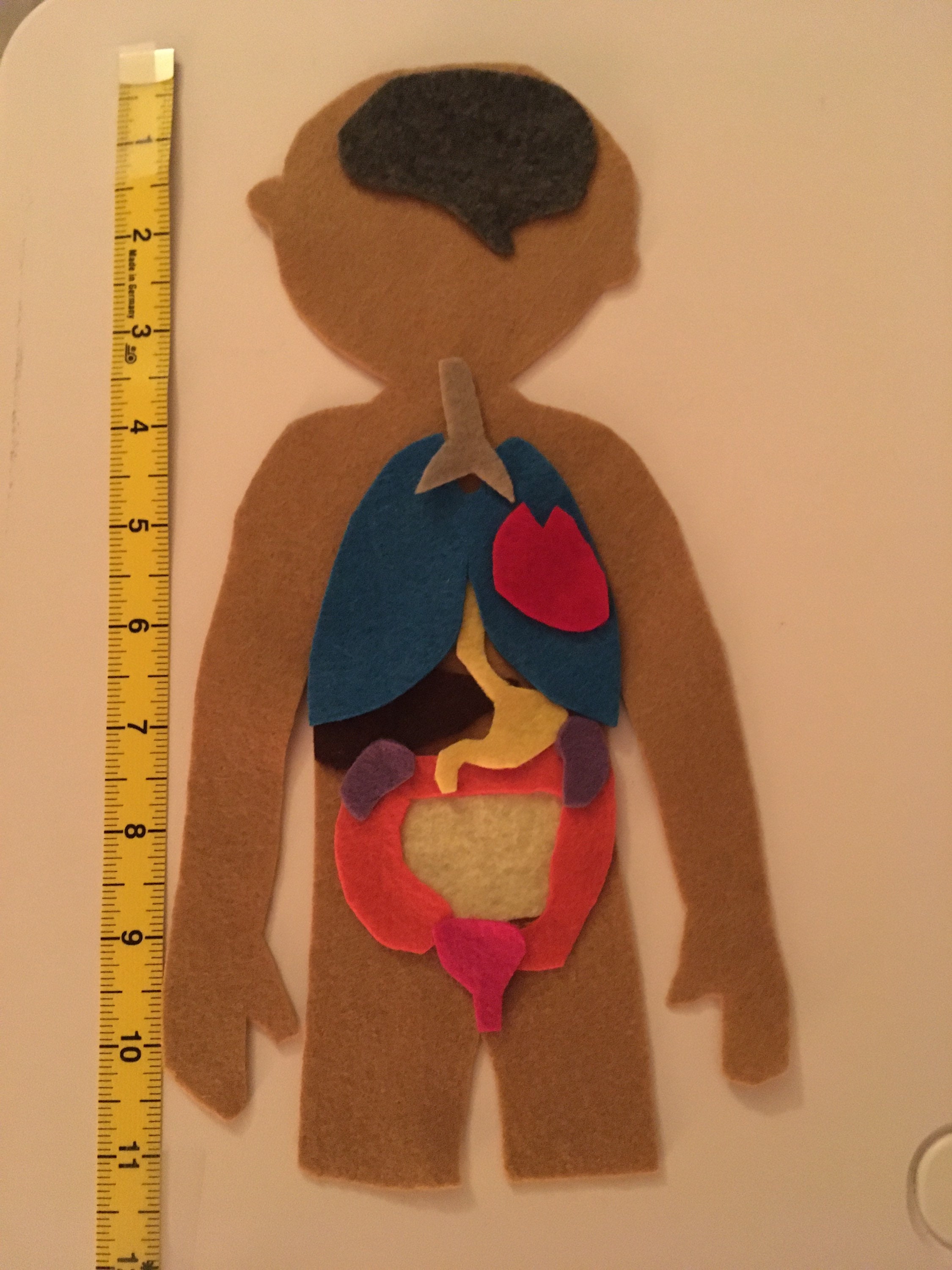 Human Anatomy Felt Story Human Body Childrens Felt Etsy Finland