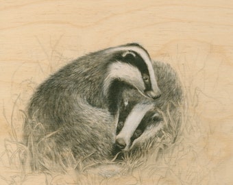 Print | ACEO | Giclee | Mounted | 5 x 7 inches | Badgers