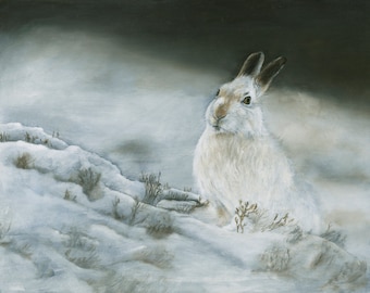 Print | Giclee | Mountain Hare 3 | 14x17 inches