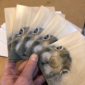 CARTAS | Pacote de 5 cartas Mountain Hare-2