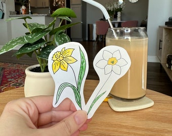 März Geburtsblumen | Narzisse | Jonquil | Aquarell | Vinyl | Wasserfester Aufkleber | Wetterfest | Geburtsmonat Blumen | Mama Geschenk