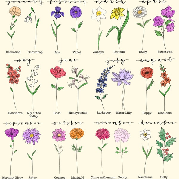 May include: A botanical illustration featuring 12 different flowers, each representing a month of the year. The flowers include carnation, iris, daffodil, daisy, rose, larkspur, poppy, aster, marigold, chrysanthemum, narcissus, and holly. Each flower is labeled with its name.