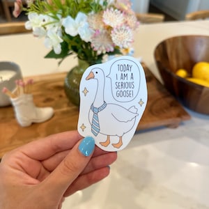 Today I Am A Serious Goose Sticker | Goose Waterproof Sticker | Funny Gifts | Silly Goose | Laptop Sticker | Gifts For Coworkers