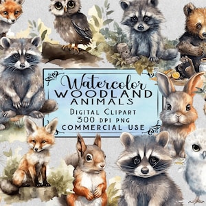 Woodland Animals Clipart Watercolor Woodland Animals Nursery Clipart Woodland Animals PNG Bundle On Transparent Background Commercial Use