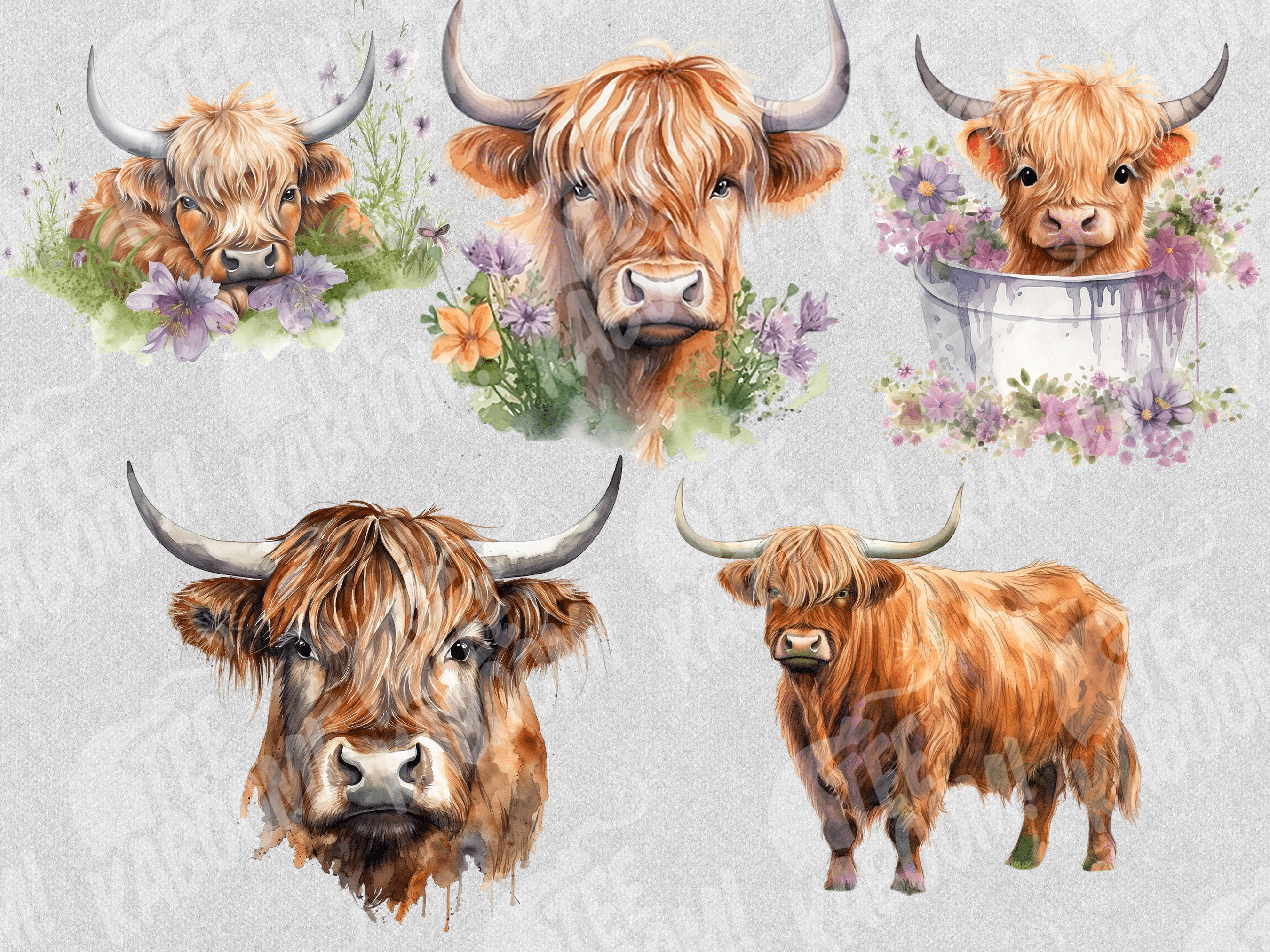 Highland Cow PNG Watercolor Highland Cow Clipart Baby Highland Cow PNG ...