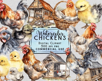 Aquarel Kip Clipart Kip PNG Bundel Op Transparante Achtergrond Commercieel Gebruik Boerderijdieren, Kippen, Kuikens en Kippenhokken