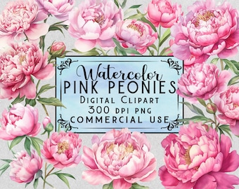 Acquerello Peony Clipart Pink Peony Clipart Peonies PNG Bundle Su Sfondo Trasparente Uso Commerciale