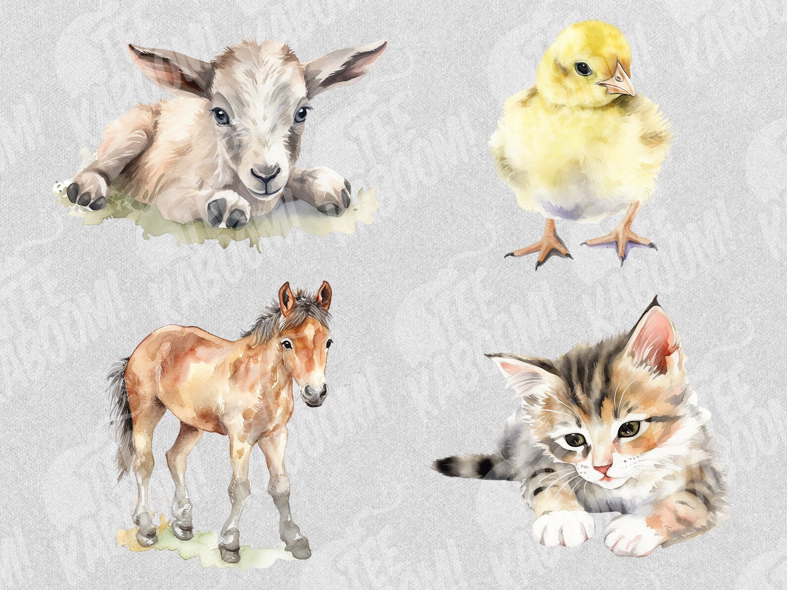 Baby Farm Animals Clipart Watercolor Baby Farm Animals PNG Bundle on ...