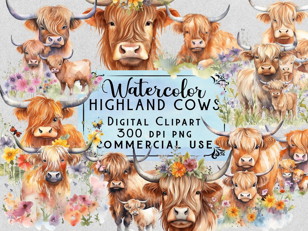 Highland Cow PNG Watercolor Highland Cow Clipart Baby Highland Cow PNG ...