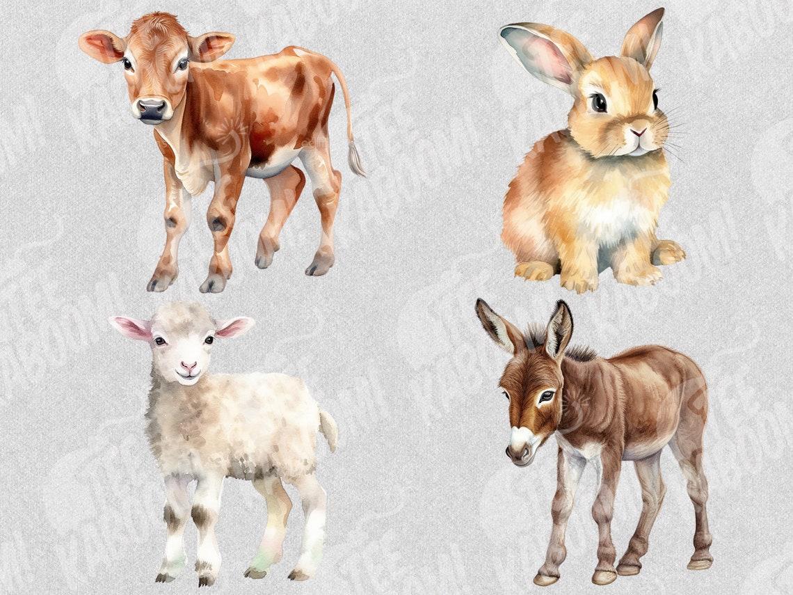 Baby Farm Animals Clipart Watercolor Baby Farm Animals PNG Bundle on ...