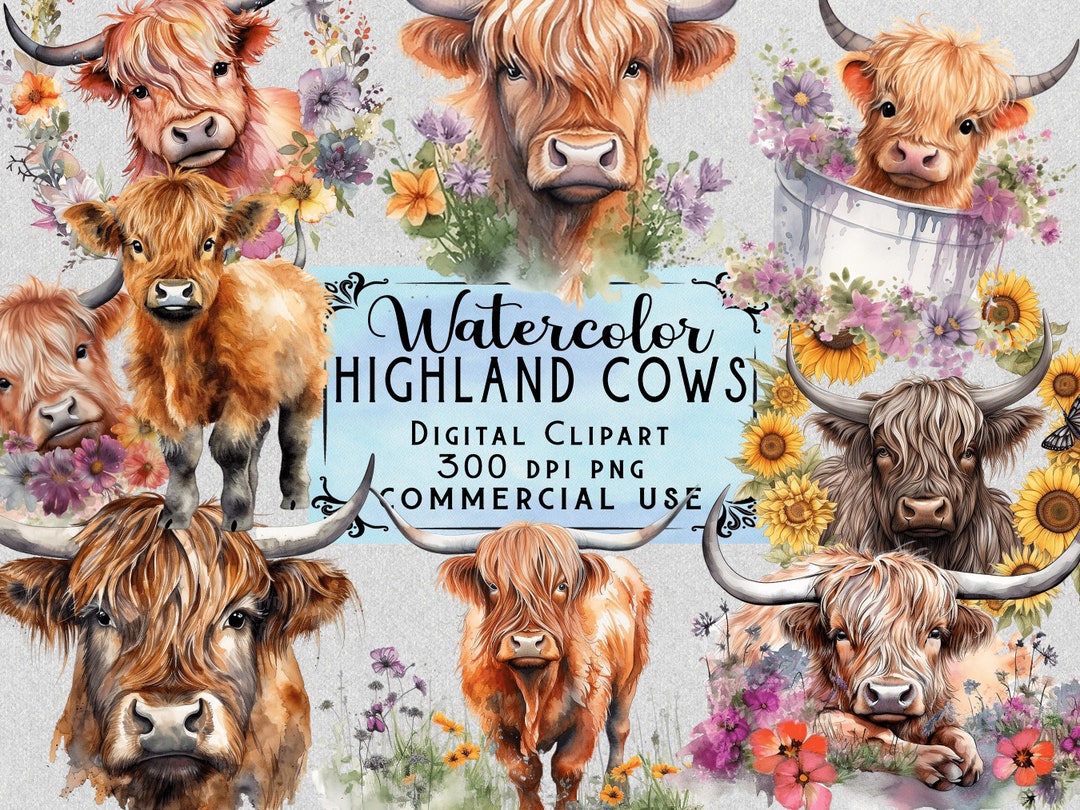 Highland Cow PNG Watercolor Highland Cow Clipart Baby Highland Cow PNG ...