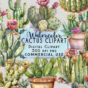 Aquarelle Cactus Clipart Désert Cactus Désert Cactus PNG Bundle Sur Fond Transparent Usage Commercial