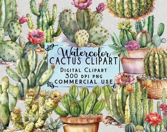 Watercolor Cactus Clipart Desert Cacti Desert Cactus PNG Bundle On Transparent Background Commercial Use
