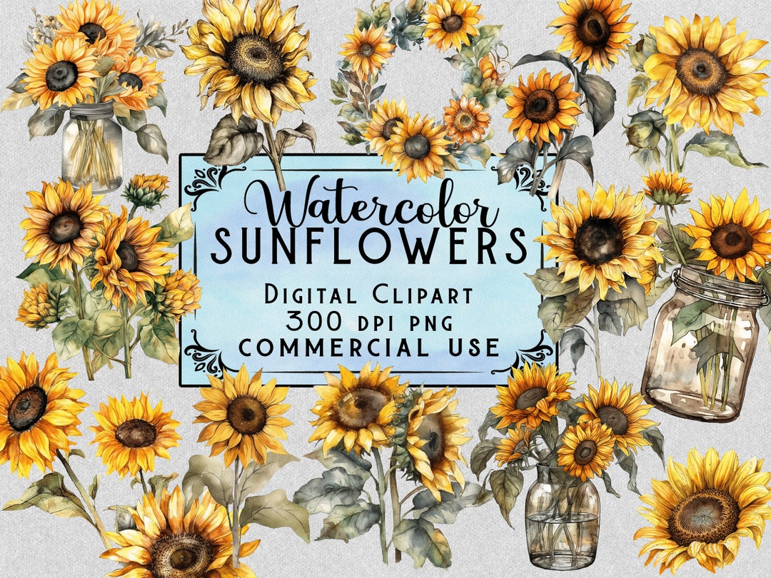Watercolor Sunflower Clipart Sunflower Bouquet PNG Bundle on ...