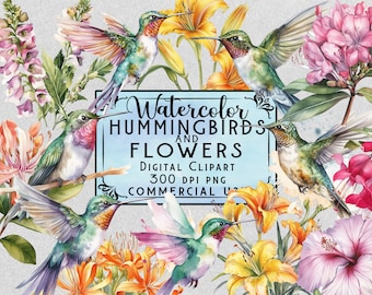 Watercolor Hummingbirds Clipart Hummingbird PNG 35 Elements Bundle On Transparent Background Commercial Use