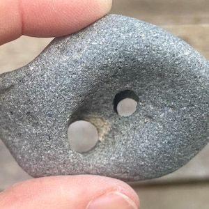 May include: A smooth, gray, irregularly shaped stone featuring two distinct, naturally occurring holes of different sizes. The surface of the rock has a speckled, granular texture with a matte finish, showing natural variations in the gray color.