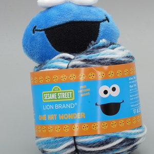 Lion Brand Sesame Street One Hat Wonder Yarn 502 Cookie Monster