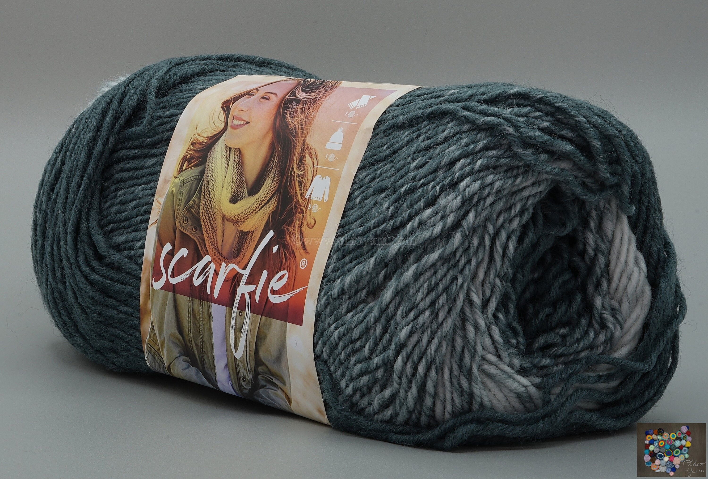 Lion Brand Scarfie 233 Pale Grey and Bluestone Yarn 