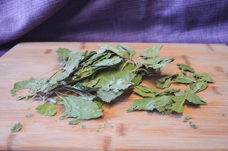 Puede incluir: Primer plano de hojas verdes secas, posiblemente hierbas o especias, dispuestas sobre una tabla de cortar de madera. El fondo es una tela morada.