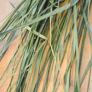 May include: A bundle of long, slender, dried green grass blades with varying shades of olive and sage. The grass features thin, pointed tips and a fibrous texture, with individual stalks overlapping to create a dense, layered, and linear arrangement.