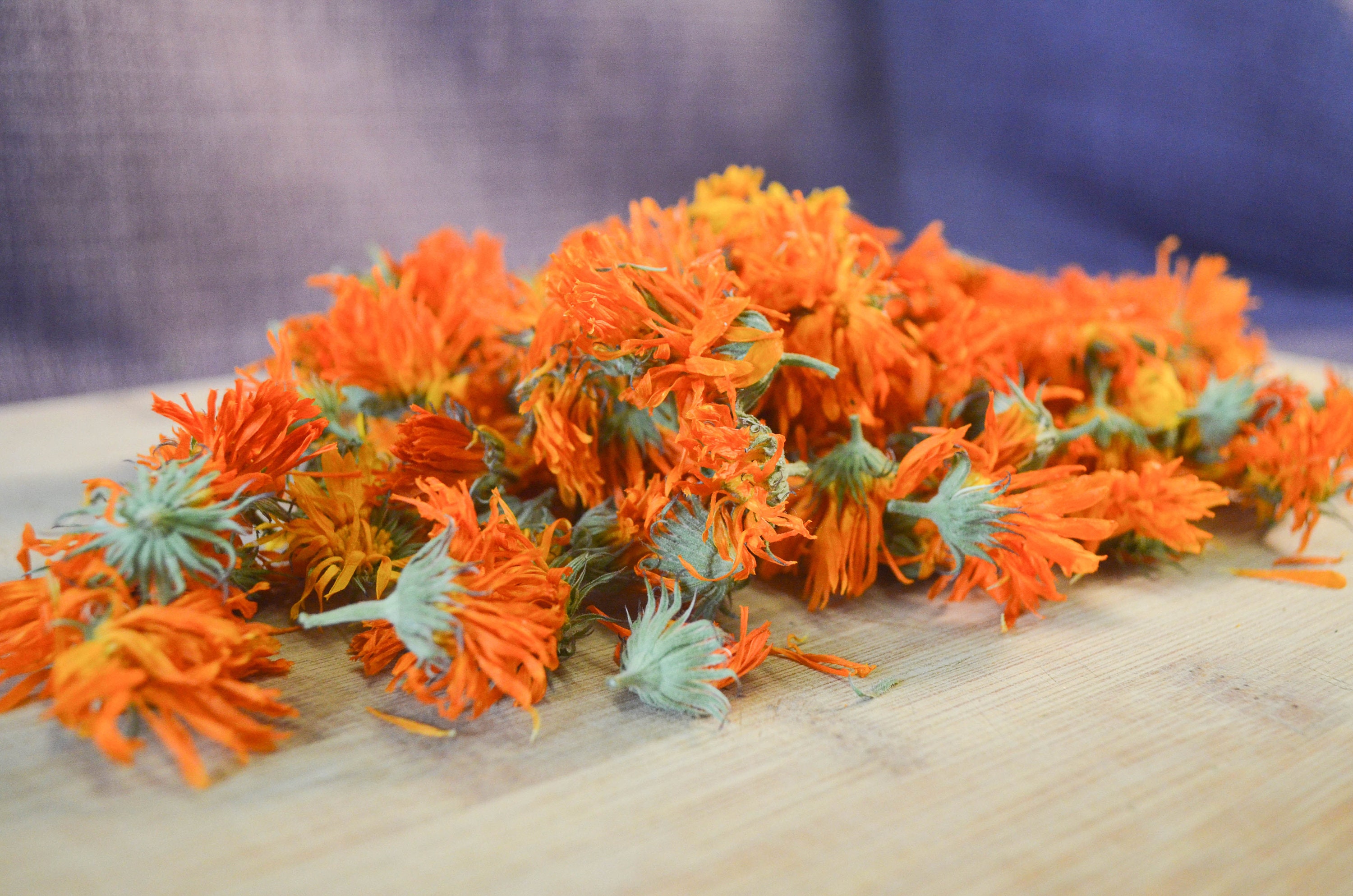 Dried Calendula Flowers Certified Organic Medicinal Etsy België