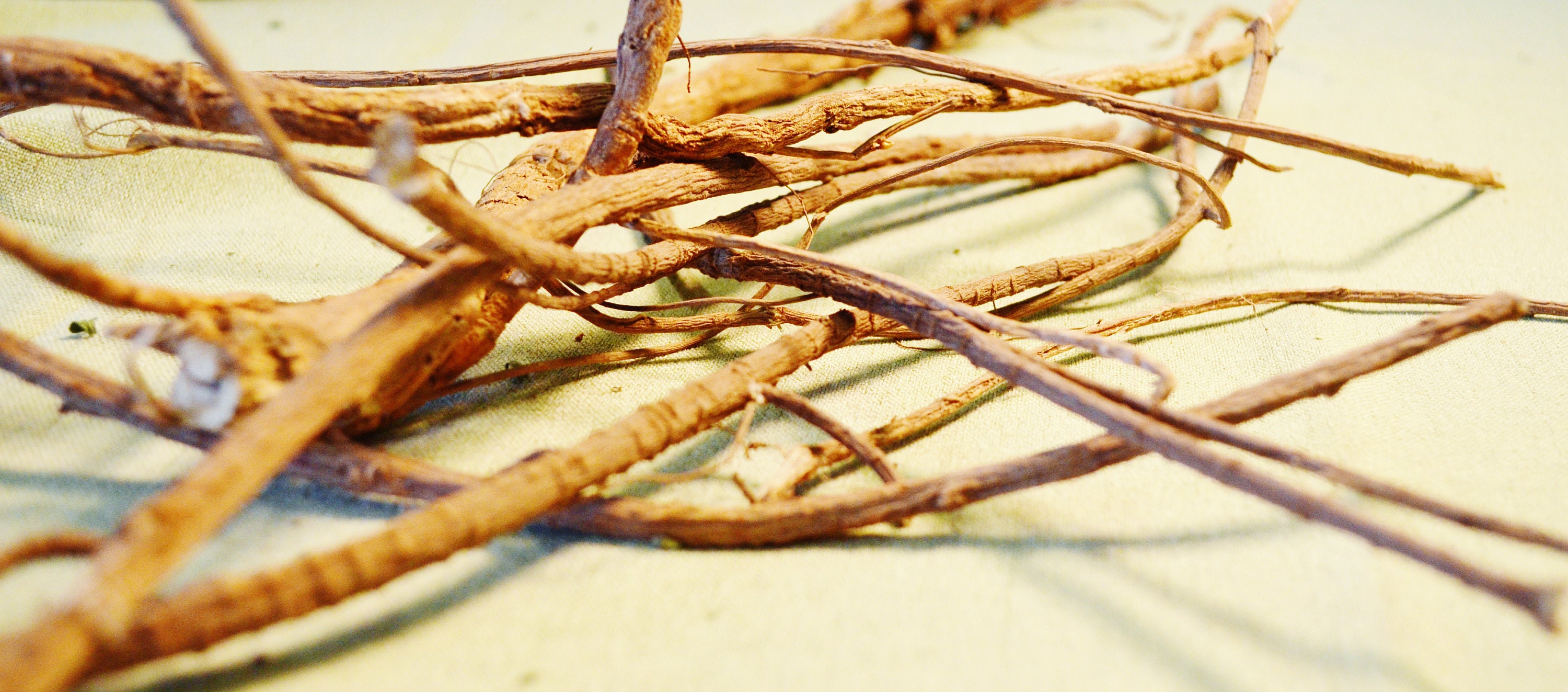 Dried Licorice Root - Certified Organic, Licorice Root, Glycyrrhiza glabra, Medicinal, Herbalism, Supplement, Herbal Tea, Health Support