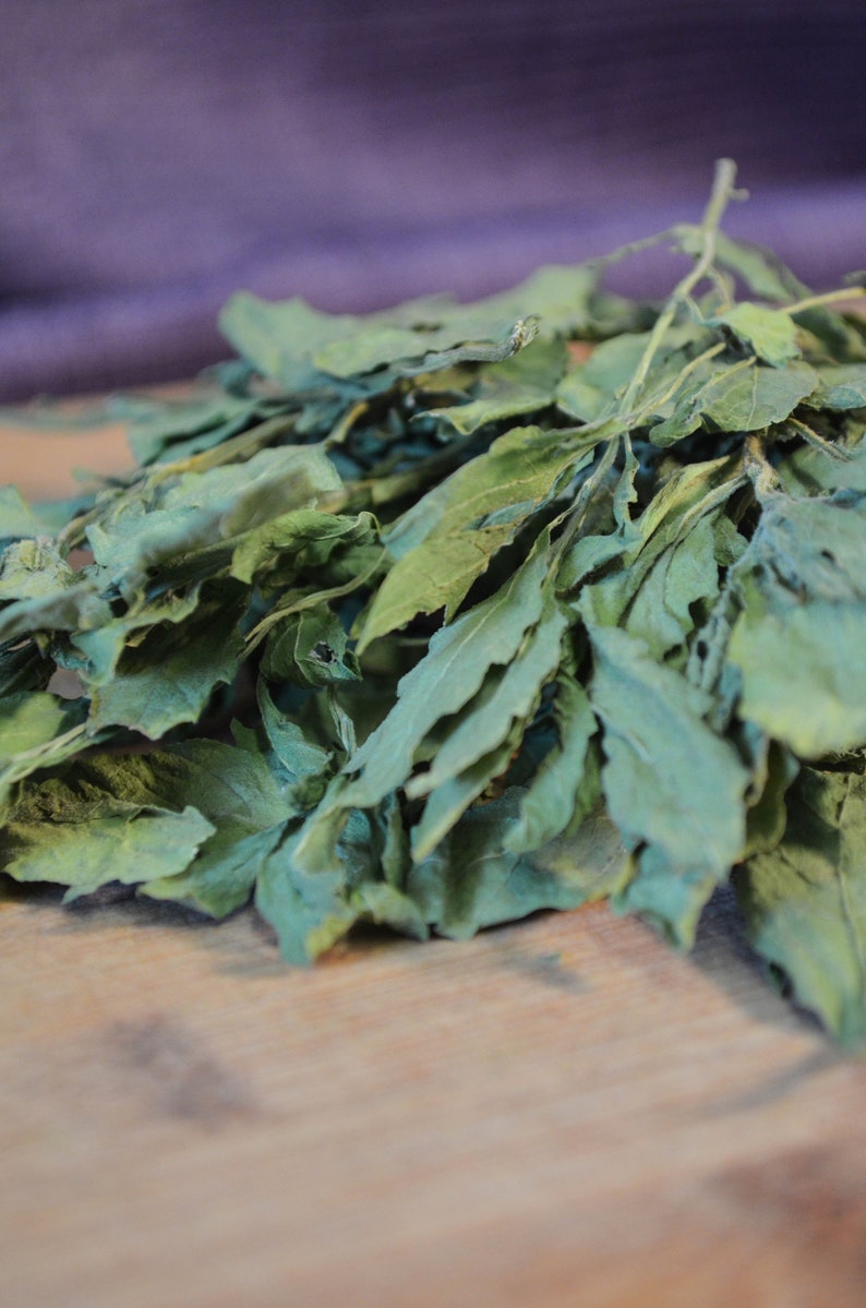 Dried Epazote Certified Organic Dried Herbs Culinary Etsy 日本