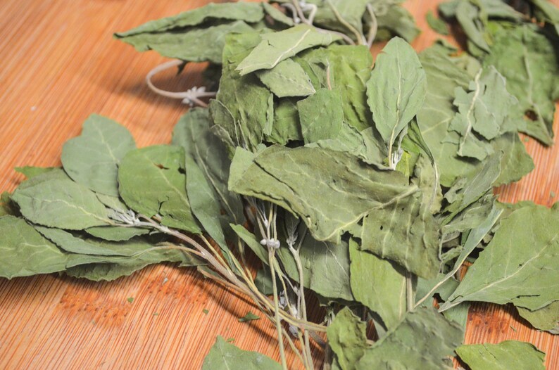Dried Ashwagandha Certified Organic Ashwagandha Leaf Dried Etsy
